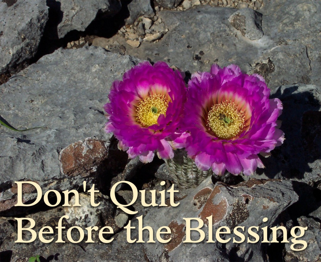Don't Quit!